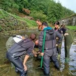 Inicio del Curso: Pesca Eléctrica